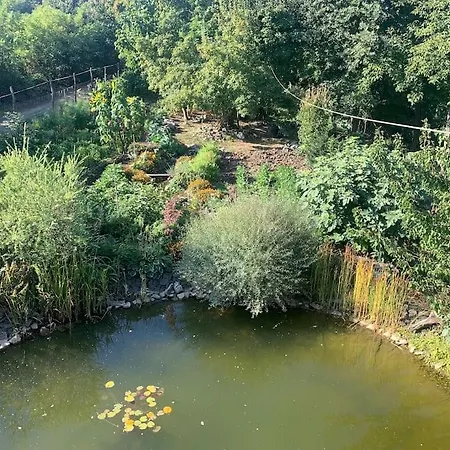 Tuenderrozsa Vendeghaz