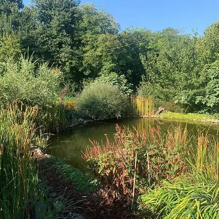 Апартаменты Tuenderrozsa Vendeghaz Tahitotfalu