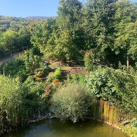 Апартаменты Tuenderrozsa Vendeghaz *