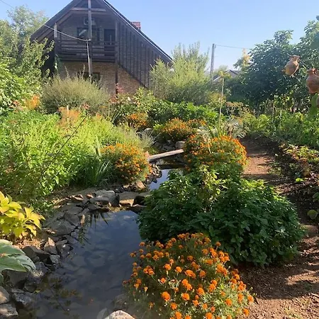 Tuenderrozsa Vendeghaz Апартаменты