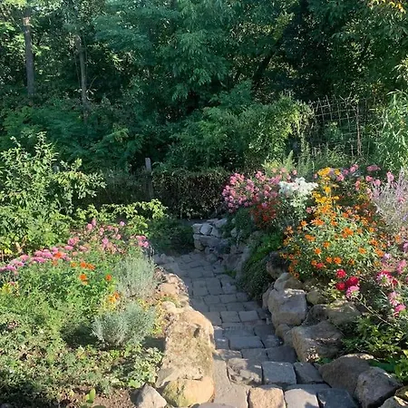 Tuenderrozsa Vendeghaz *