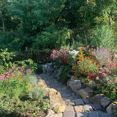 Апартаменты Tuenderrozsa Vendeghaz