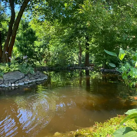 Tuenderrozsa Vendeghaz Апартаменты