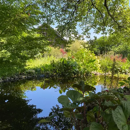 Tuenderrozsa Vendeghaz Tahitotfalu