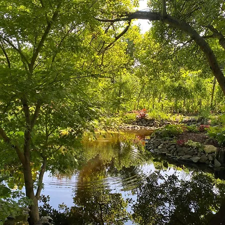 Apartment Tuenderrozsa Vendeghaz *