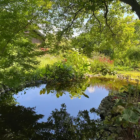 Tuenderrozsa Vendeghaz Апартаменты *