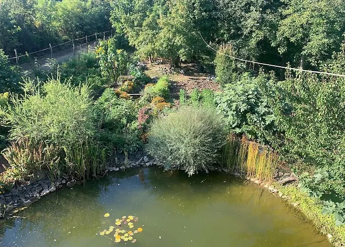 Tuenderrozsa Vendeghaz