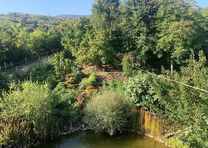 公寓 Tuenderrozsa Vendeghaz *