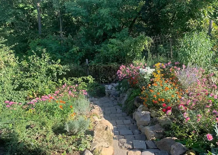 Tuenderrozsa Vendeghaz *