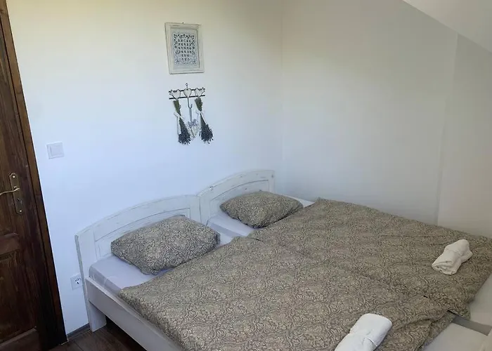 Apartment Tuenderrozsa Vendeghaz Tahitotfalu