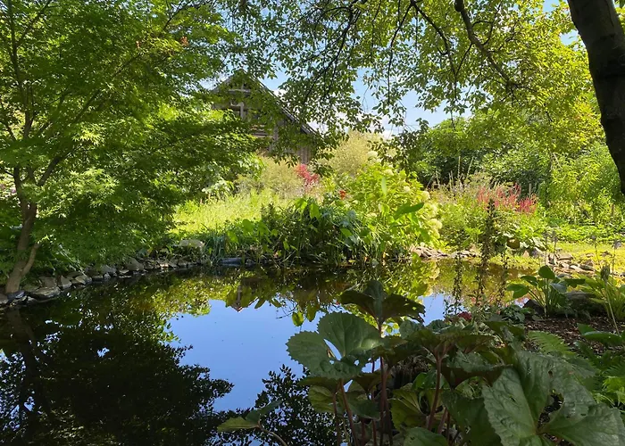 Tuenderrozsa Vendeghaz Tahitófalu