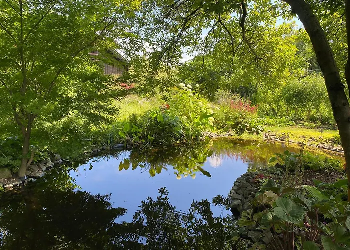 Tuenderrozsa Vendeghaz 公寓 *