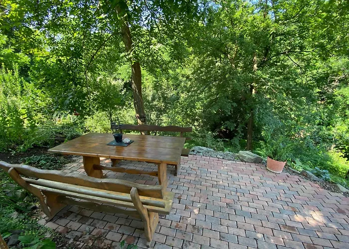 Tuenderrozsa Vendeghaz *