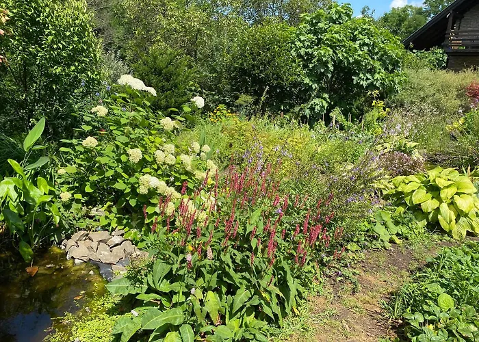 Tuenderrozsa Vendeghaz